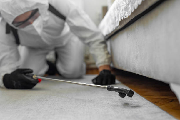 Professional Termite Control technician working in Spry, PA