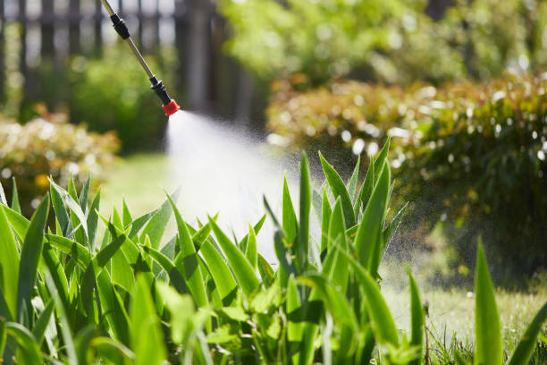 24/7 Emergency Termite Control experts in Spry, PA