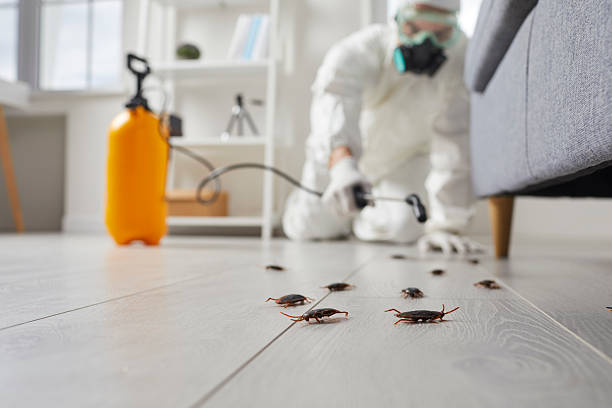 Affordable Termite Control solutions in Spry, PA